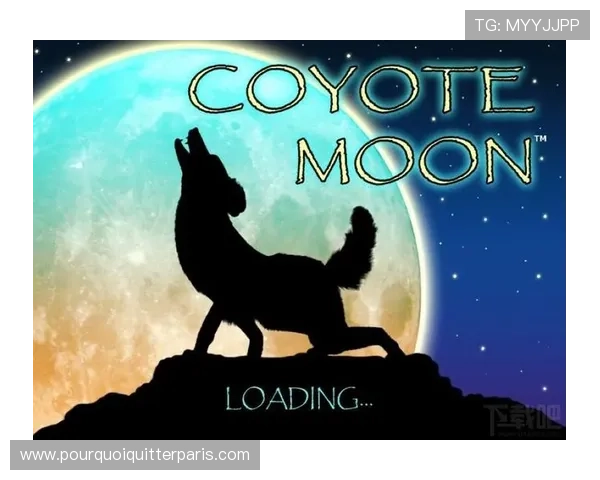 Wild老虎机免费试玩版上线，零风险体验多样游戏玩法尽情畅玩